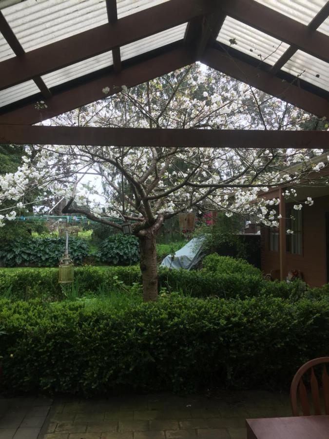 Sherwood Park Bed And Breakfast Somerville Luaran gambar