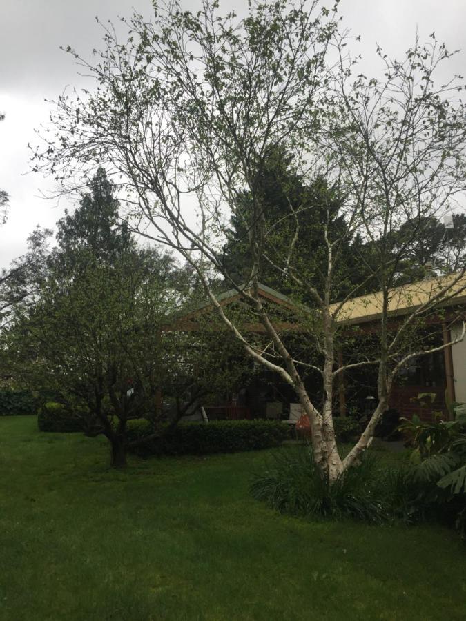 Sherwood Park Bed And Breakfast Somerville Luaran gambar
