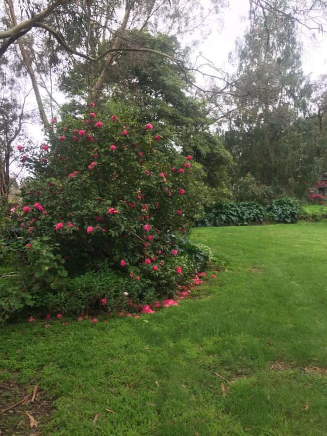 Sherwood Park Bed And Breakfast Somerville Luaran gambar