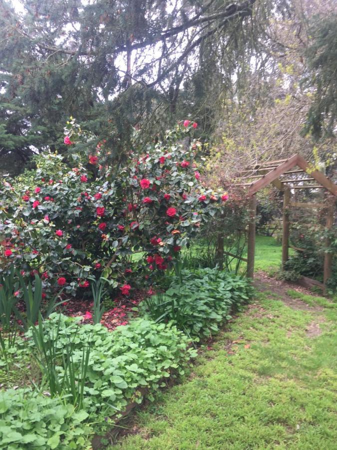 Sherwood Park Bed And Breakfast Somerville Luaran gambar