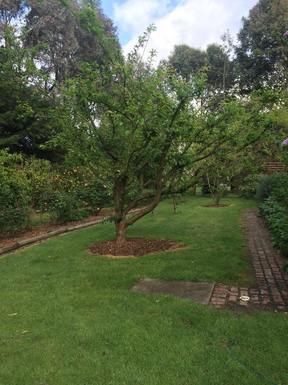 Sherwood Park Bed And Breakfast Somerville Luaran gambar