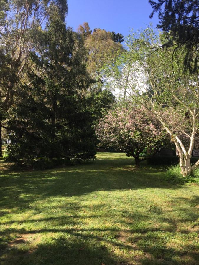 Sherwood Park Bed And Breakfast Somerville Luaran gambar