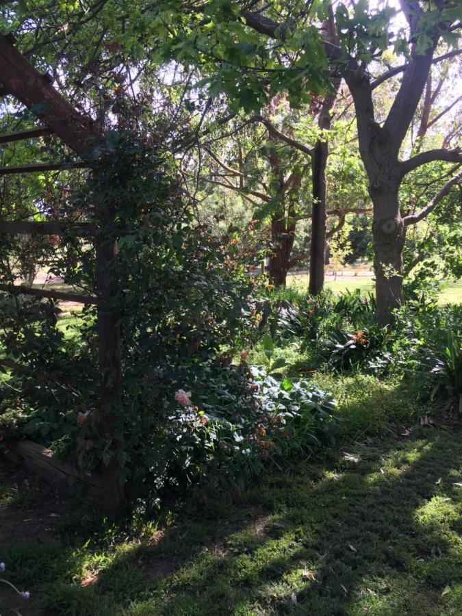 Sherwood Park Bed And Breakfast Somerville Luaran gambar